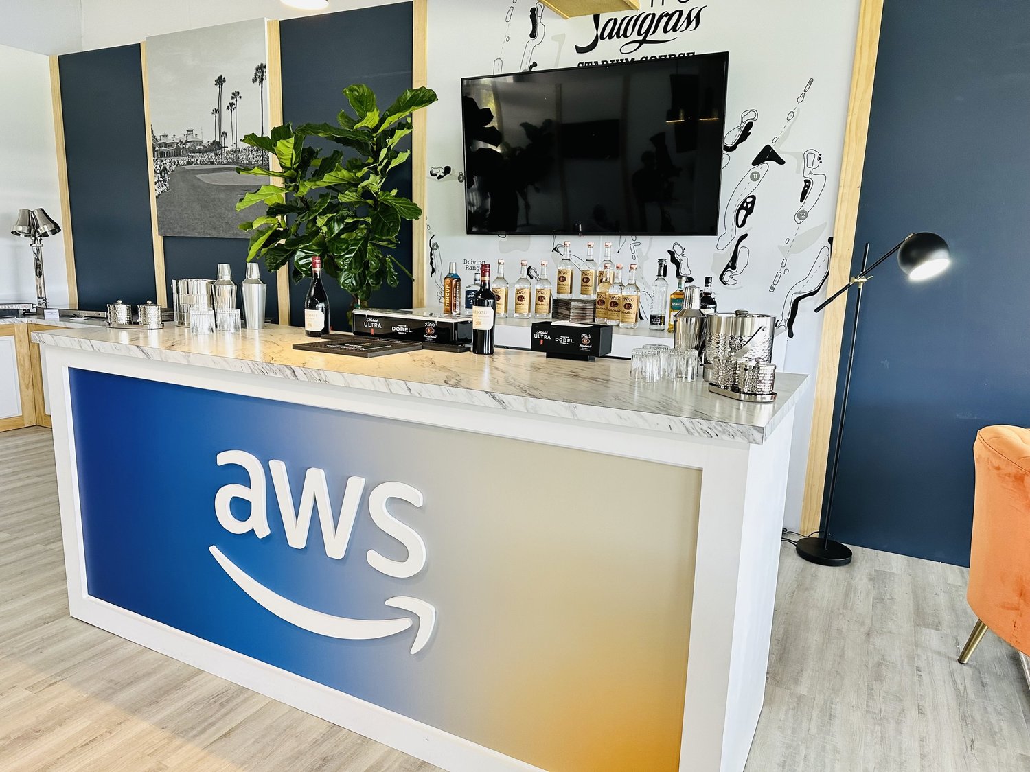 Preview of Amazon project